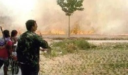 刘老师爆料麦田视频,真相背后引人深思